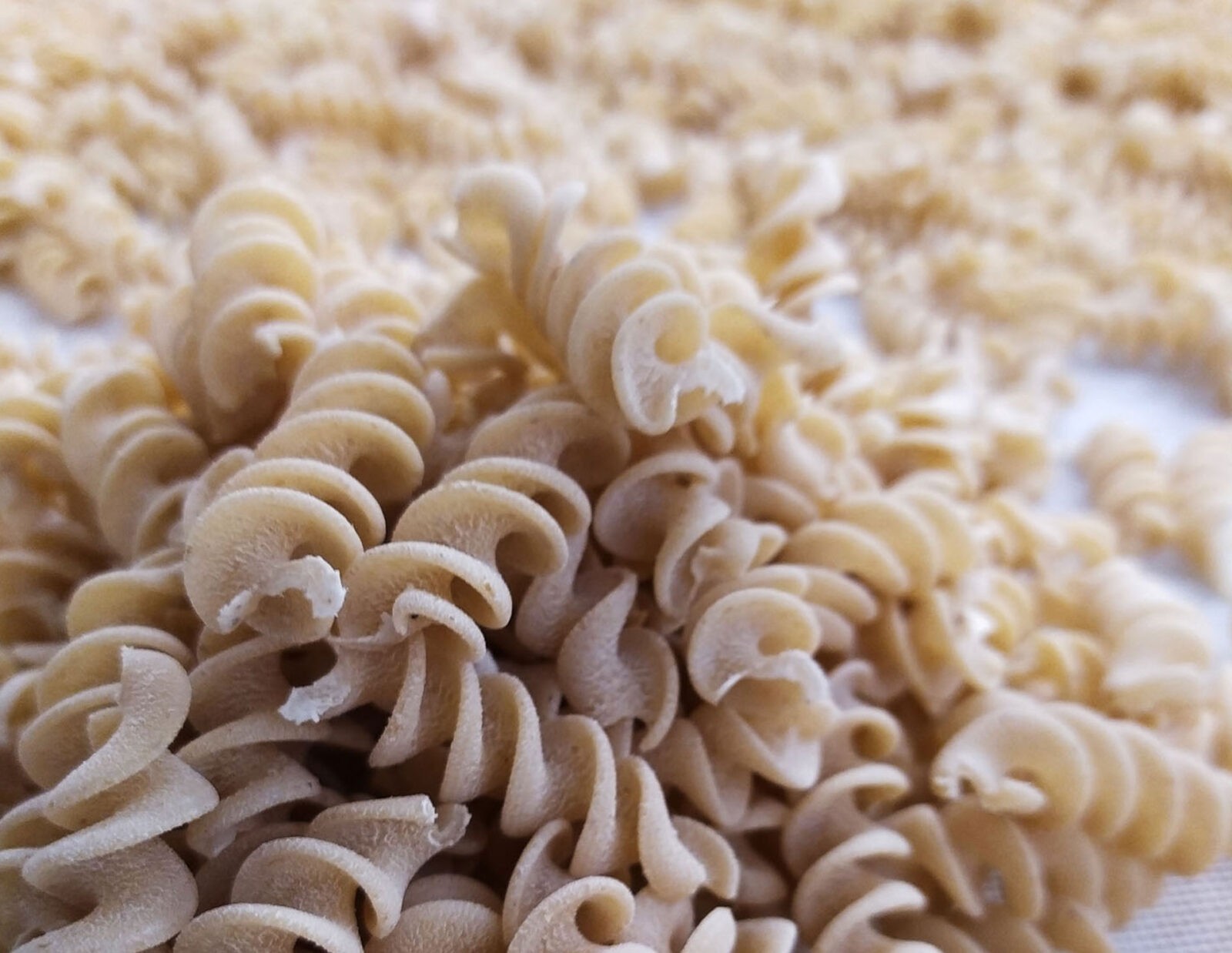 pasta1